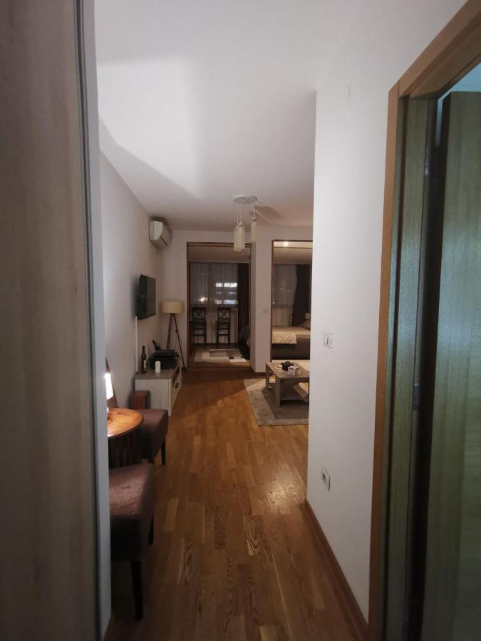 Delta Apartman Podgorica Bagian luar foto